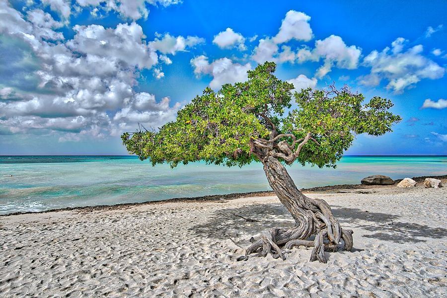 Land & Climate, Aruba