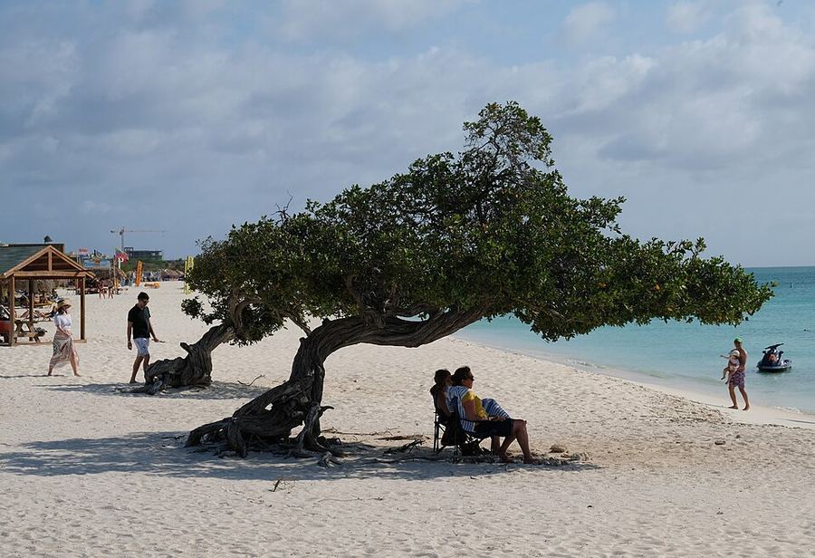 Entertainment, Aruba