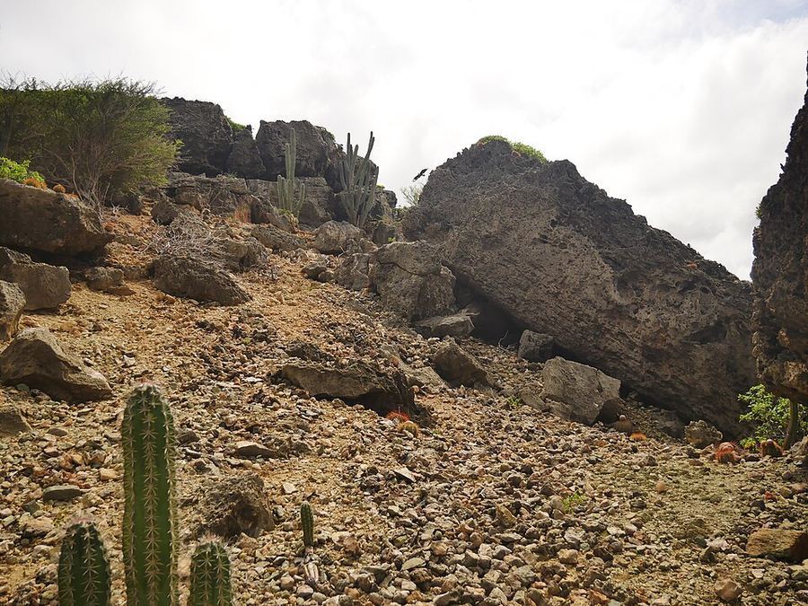 Points Of Pride, Aruba