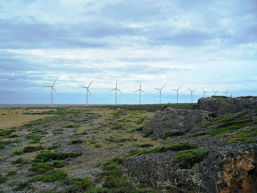 Science & Technology, Aruba