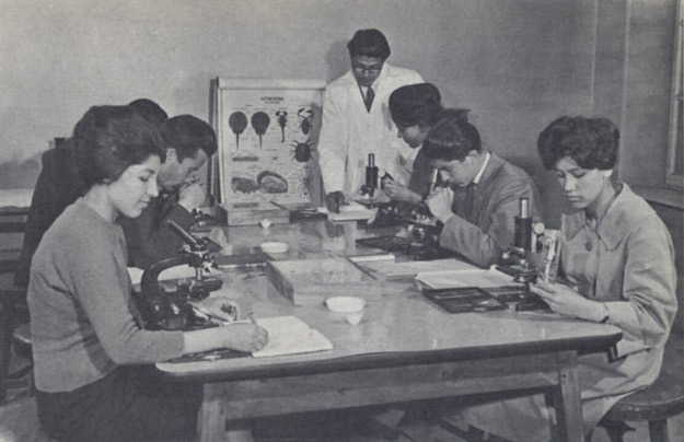 Notable Educational Programs, Afghanistan