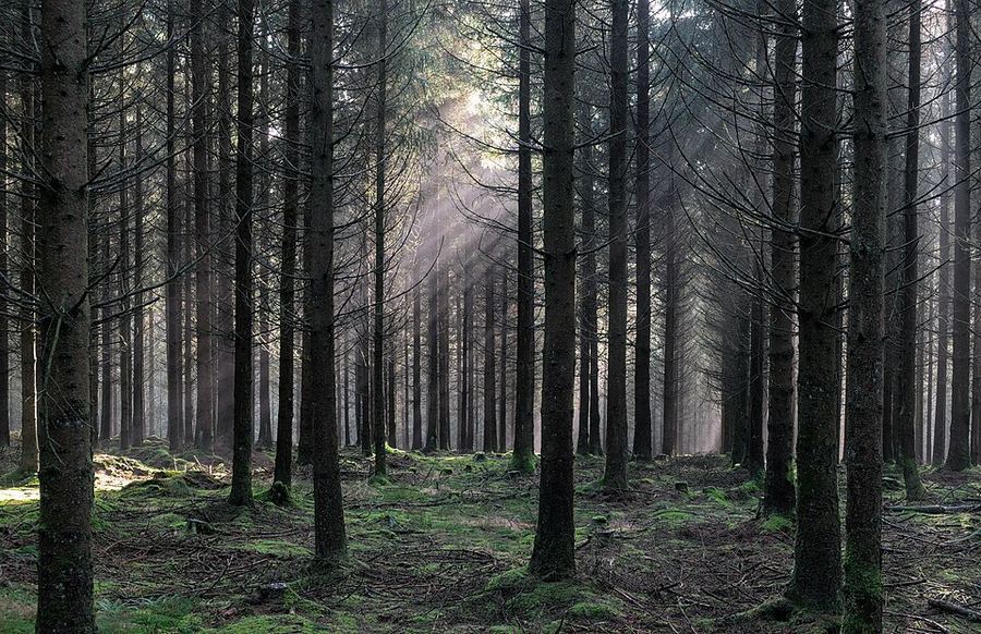 Land & Climate, Belgium