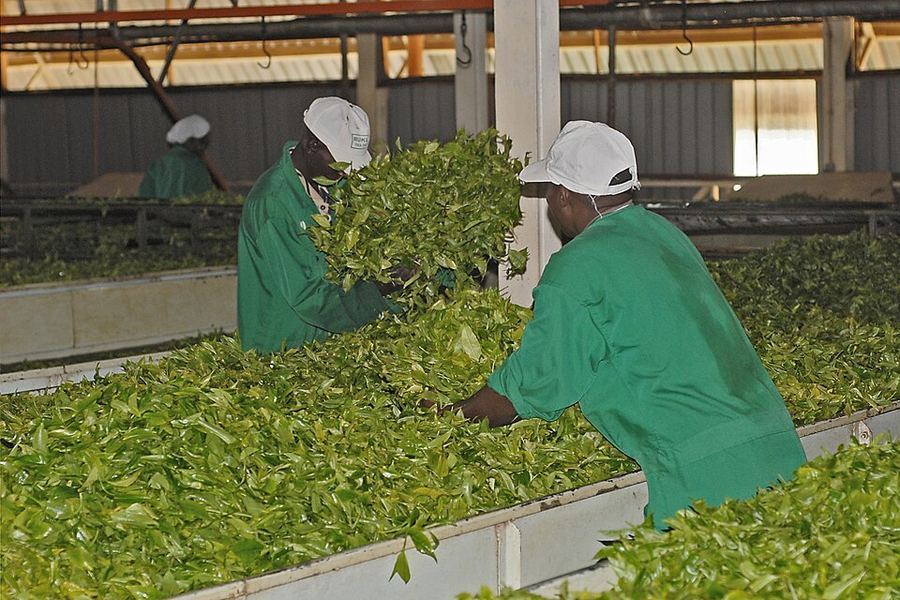 Inventions & Breakthroughs, Burkina Faso