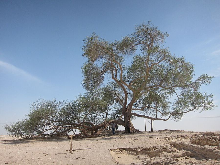 Land & Climate, Bahrain