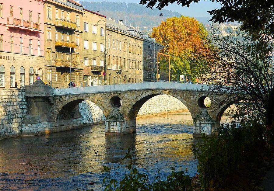 History, Bosnia and Herz.