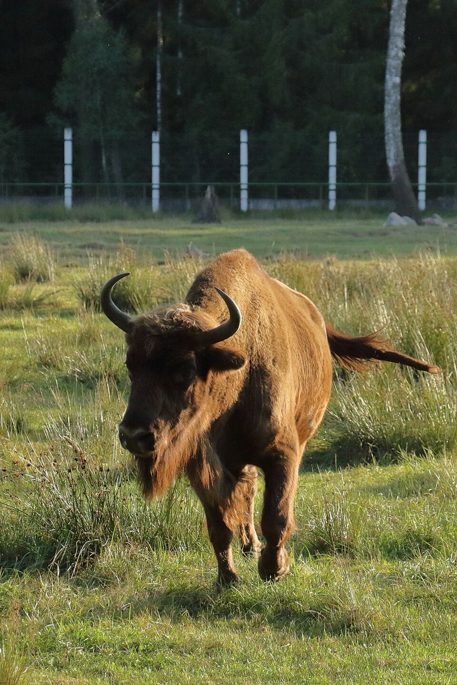 Land & Climate, Belarus