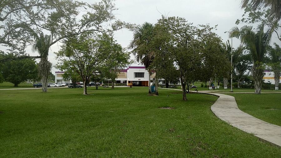 Notable Educational Programs, Belize