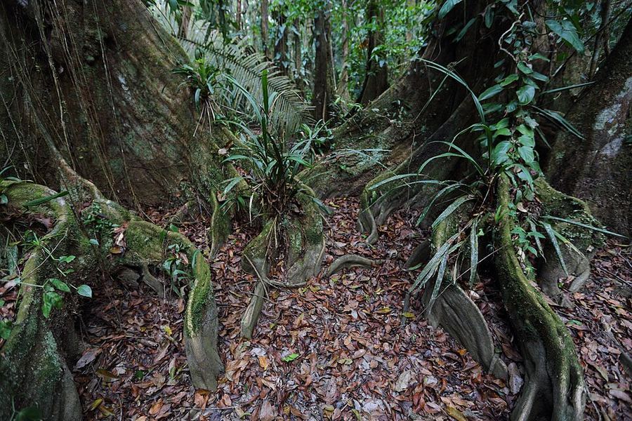 Science & Technology, Belize