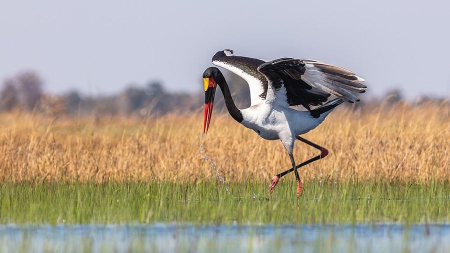 Land & Climate, Botswana
