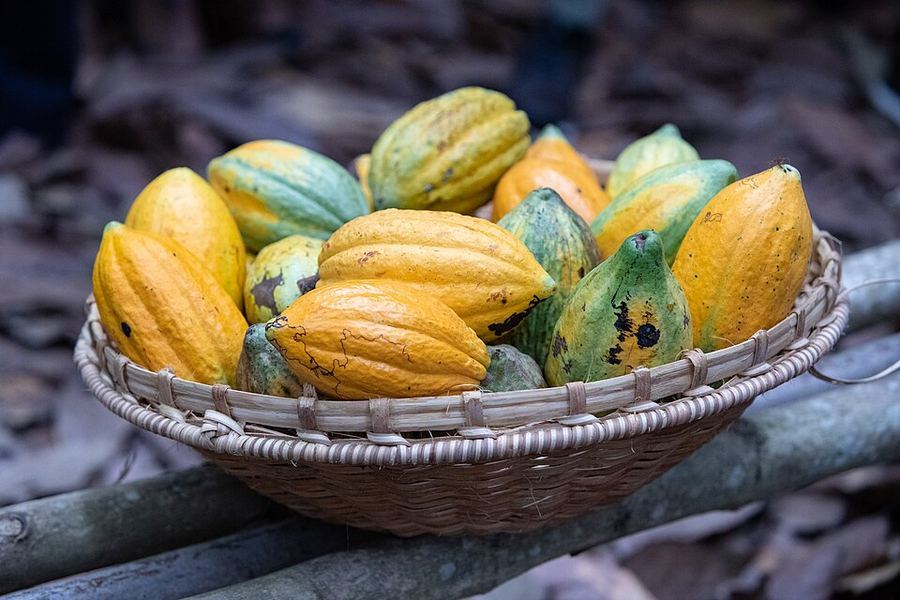 Inventions & Breakthroughs, Côte d'Ivoire