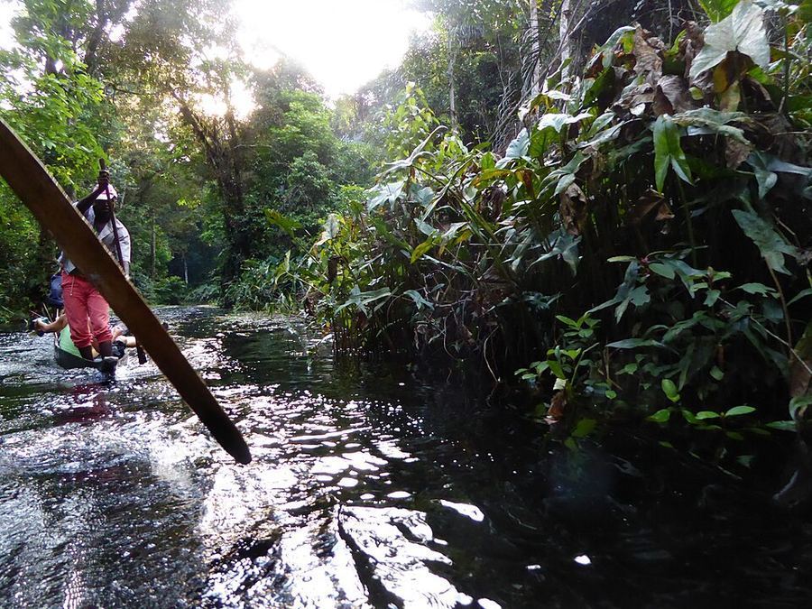 Science & Technology, Congo