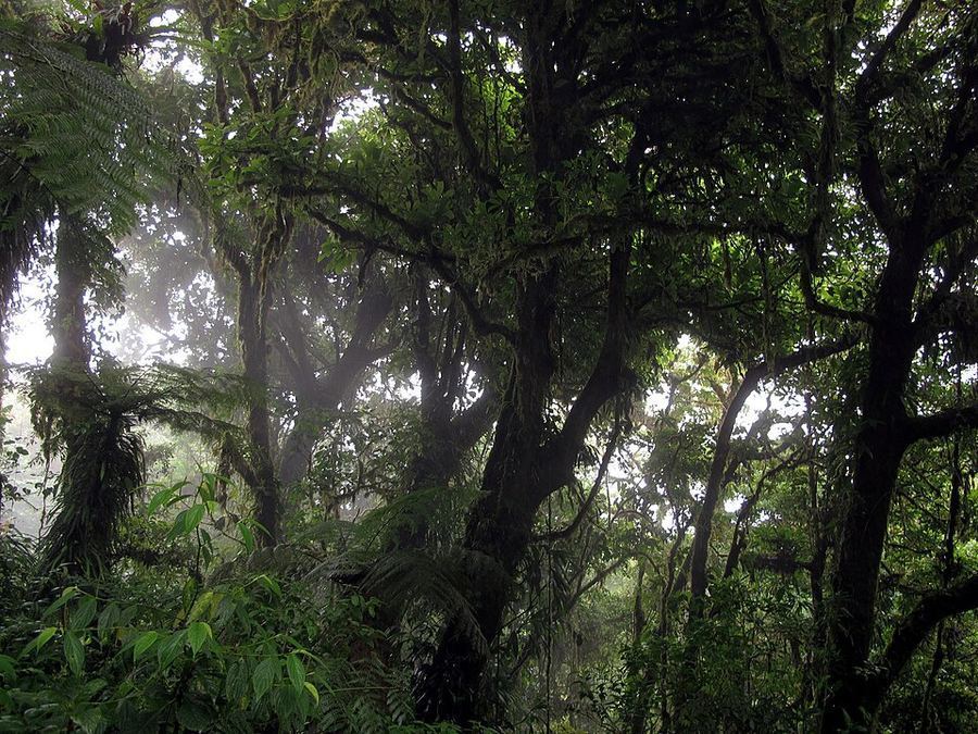 Inventions & Breakthroughs, Costa Rica