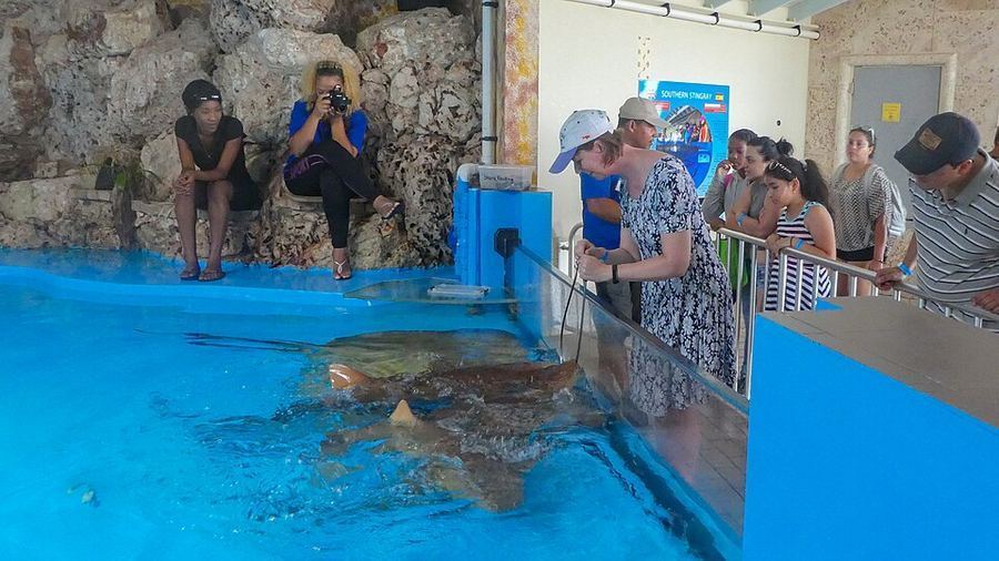 Science & Technology, Curacao