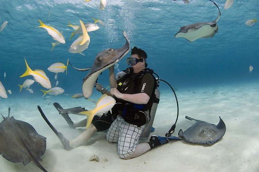Entertainment, Cayman Islands