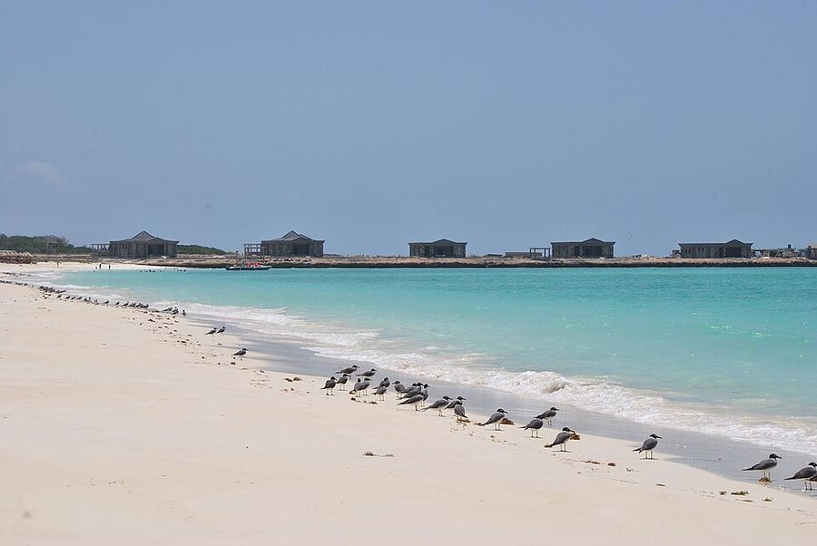 Inventions & Breakthroughs, Djibouti