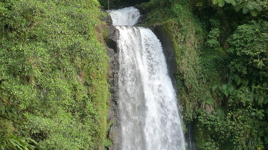 Entertainment, Dominica