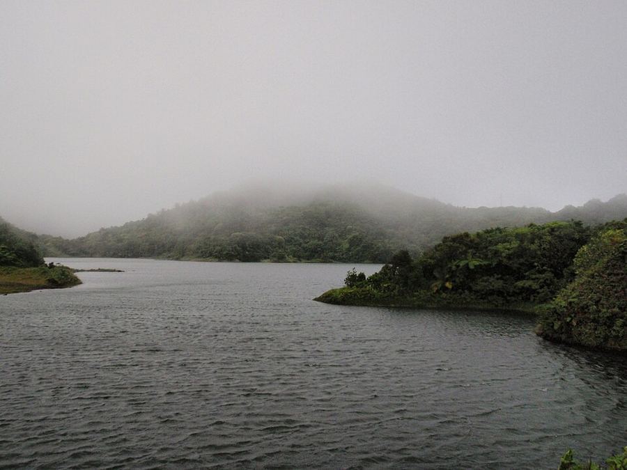 Points Of Pride, Dominica