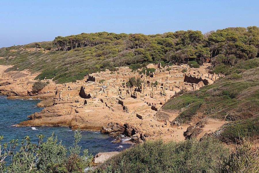 Points Of Pride, Algeria