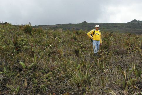 Wars & Conflicts, Ecuador