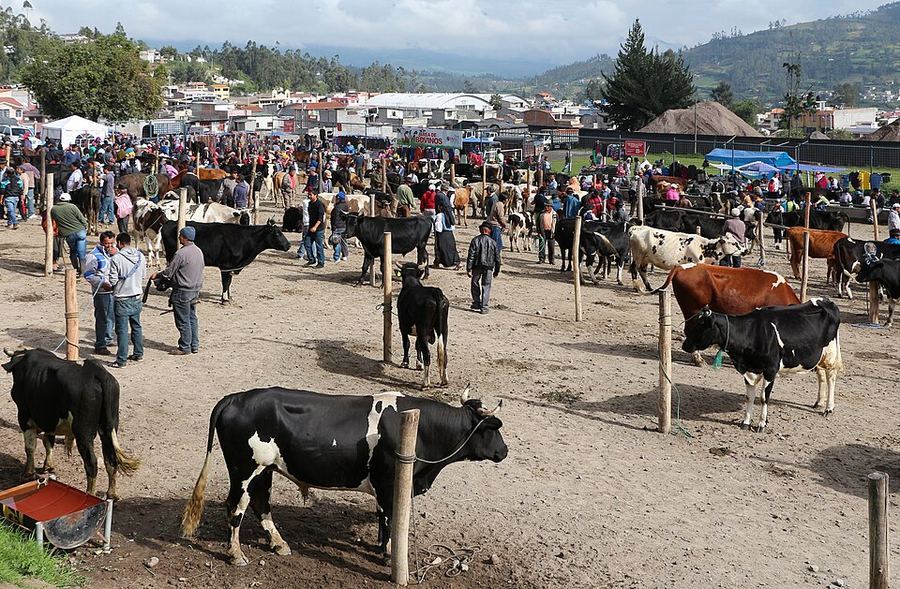 Culture, Ecuador