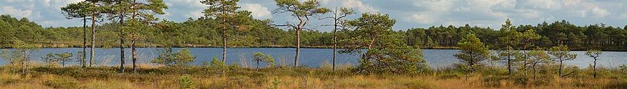 Land & Climate, Estonia