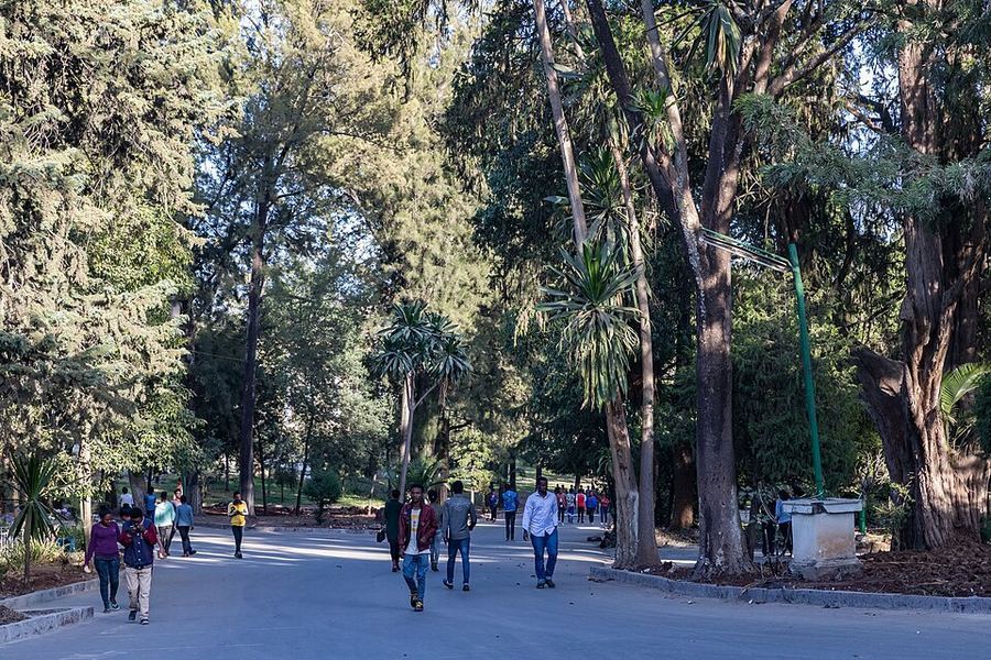 Notable Educational Programs, Ethiopia