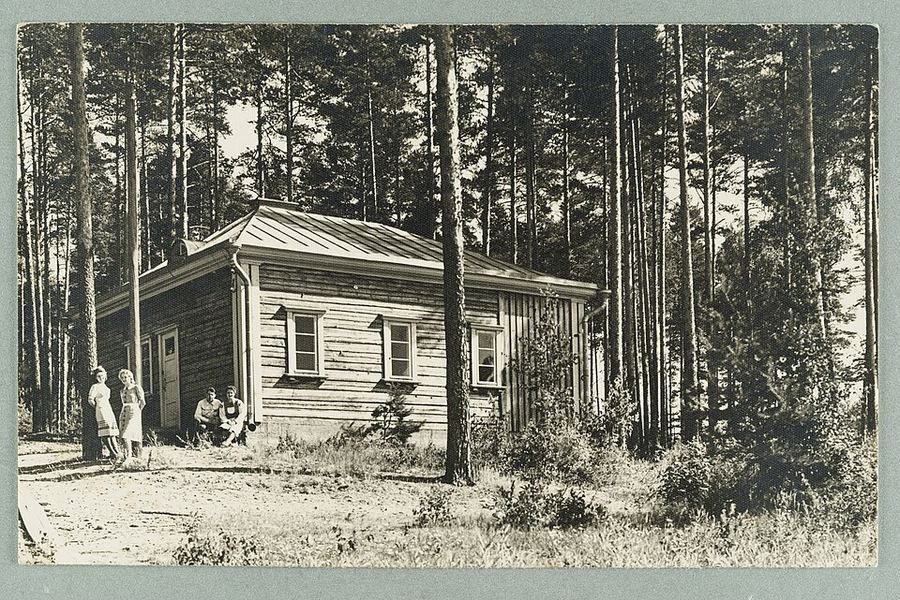 Entertainment, Finland