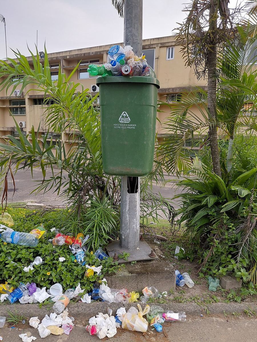 Notable Educational Programs, Gabon