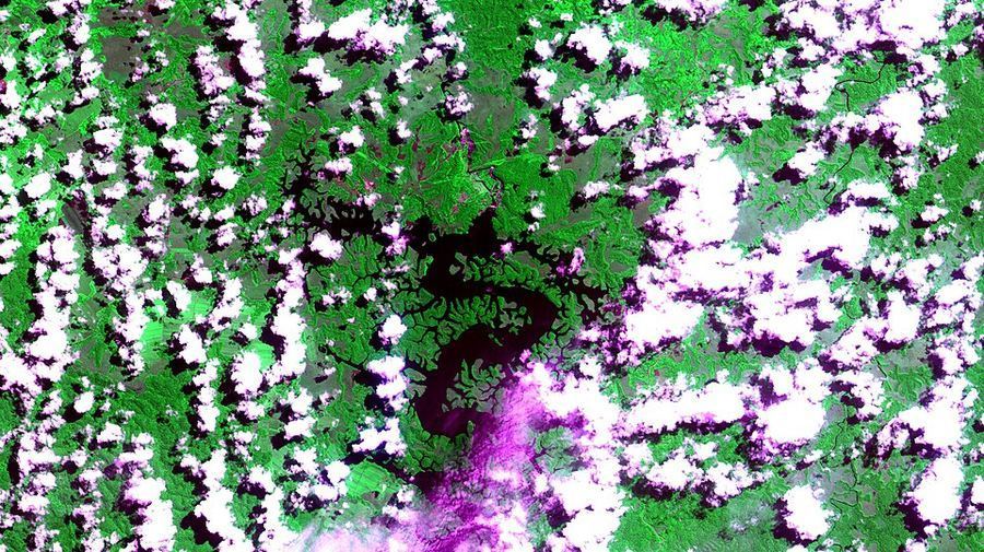 Science & Technology, Gabon