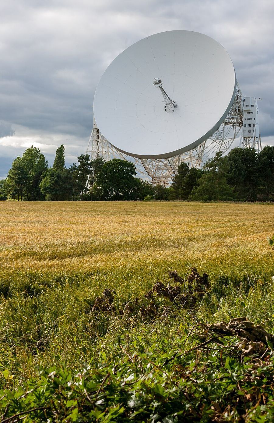 Science & Technology, United Kingdom