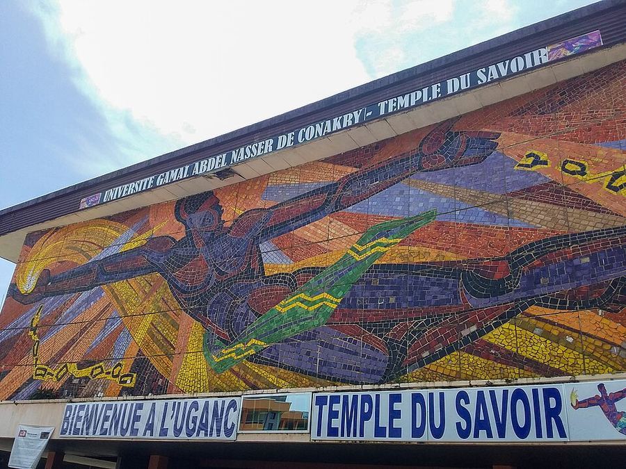 Notable Educational Programs, Guinea