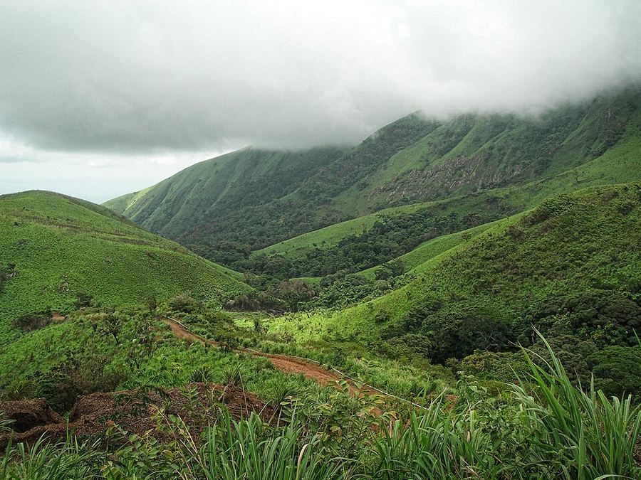 Points Of Pride, Guinea
