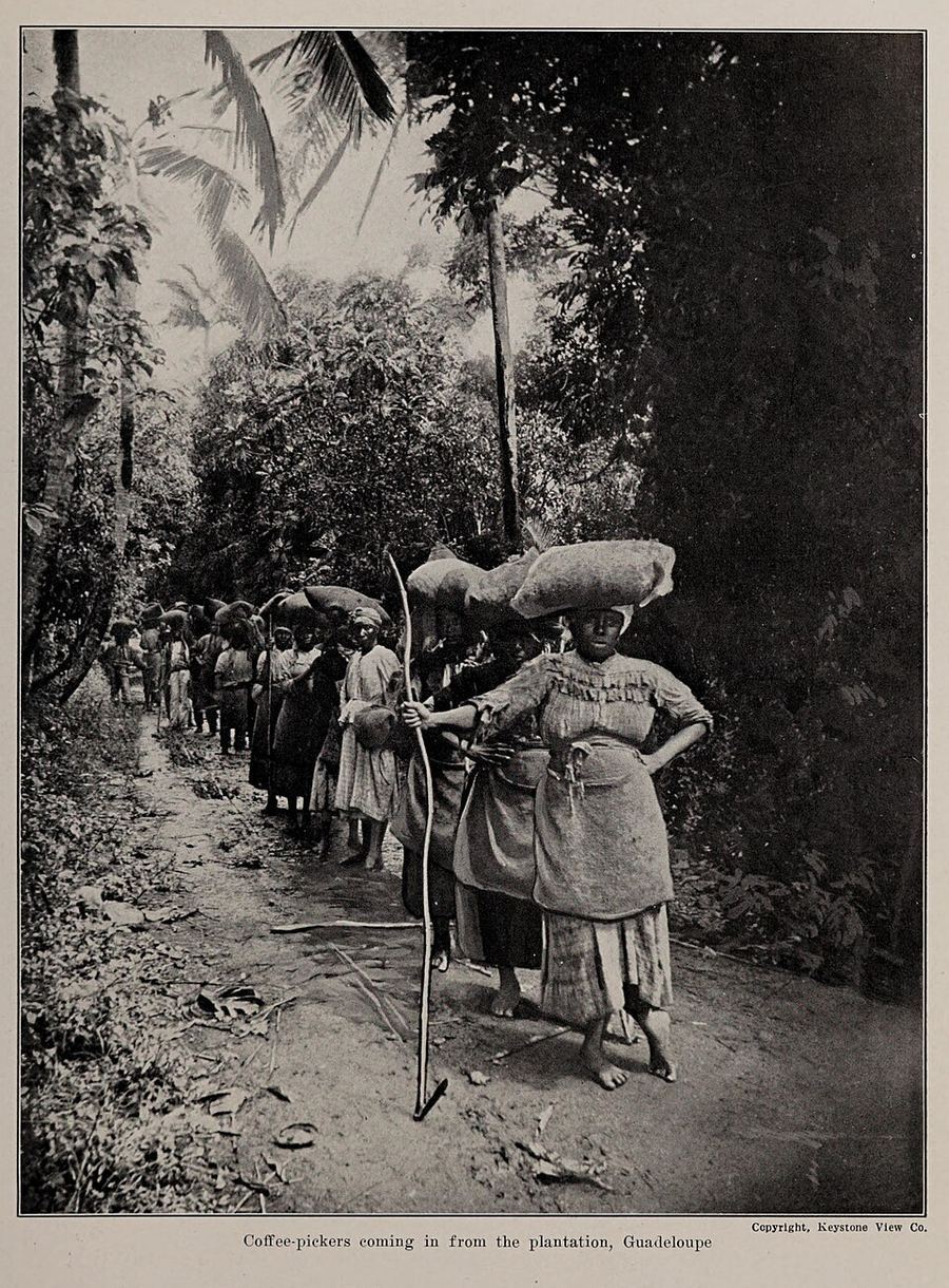 Cuisine & Misattributed Foods, Guadeloupe