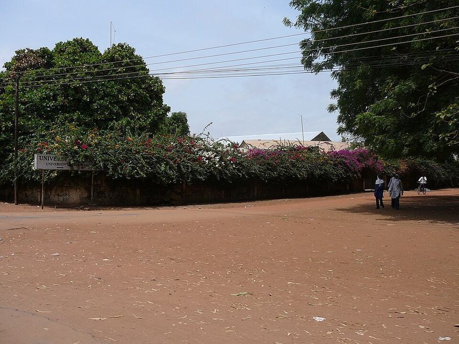 Notable Educational Programs, Gambia