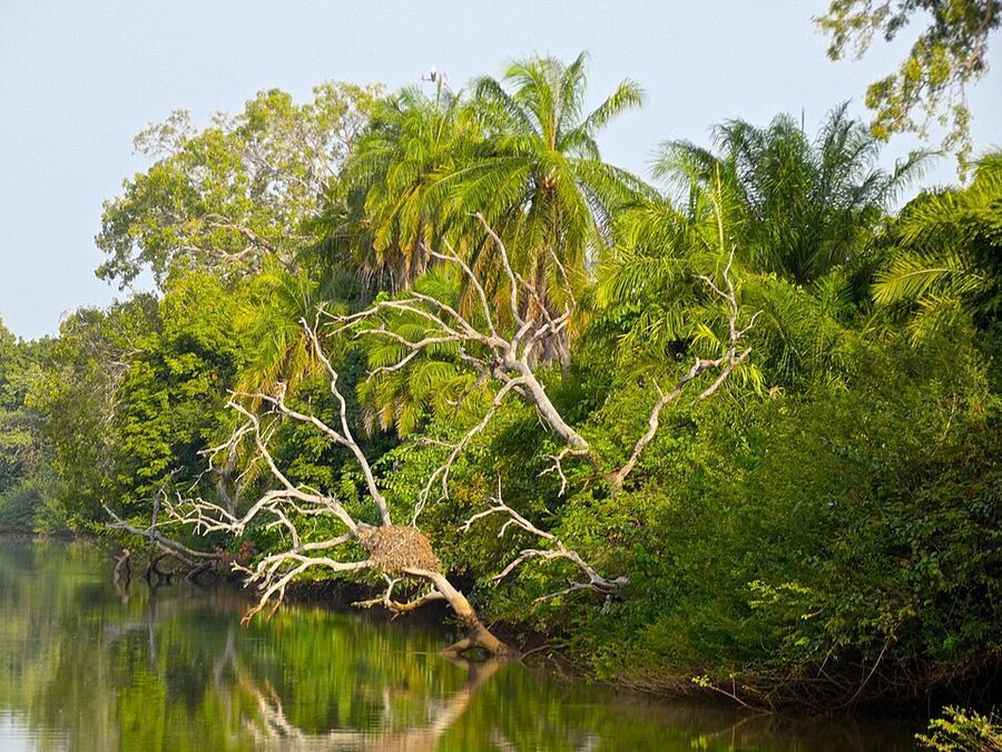 Land & Climate, Gambia