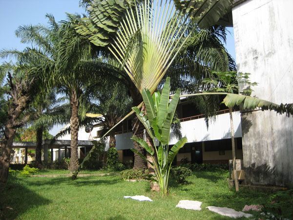 Notable Educational Programs, Guinea-Bissau