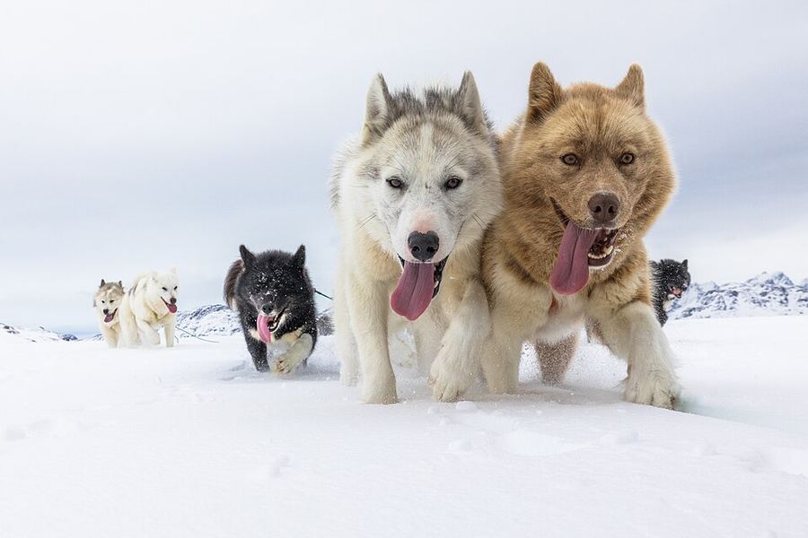 Entertainment, Greenland