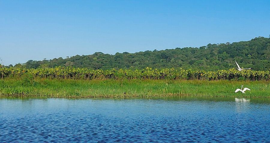 Land & Climate, French Guiana