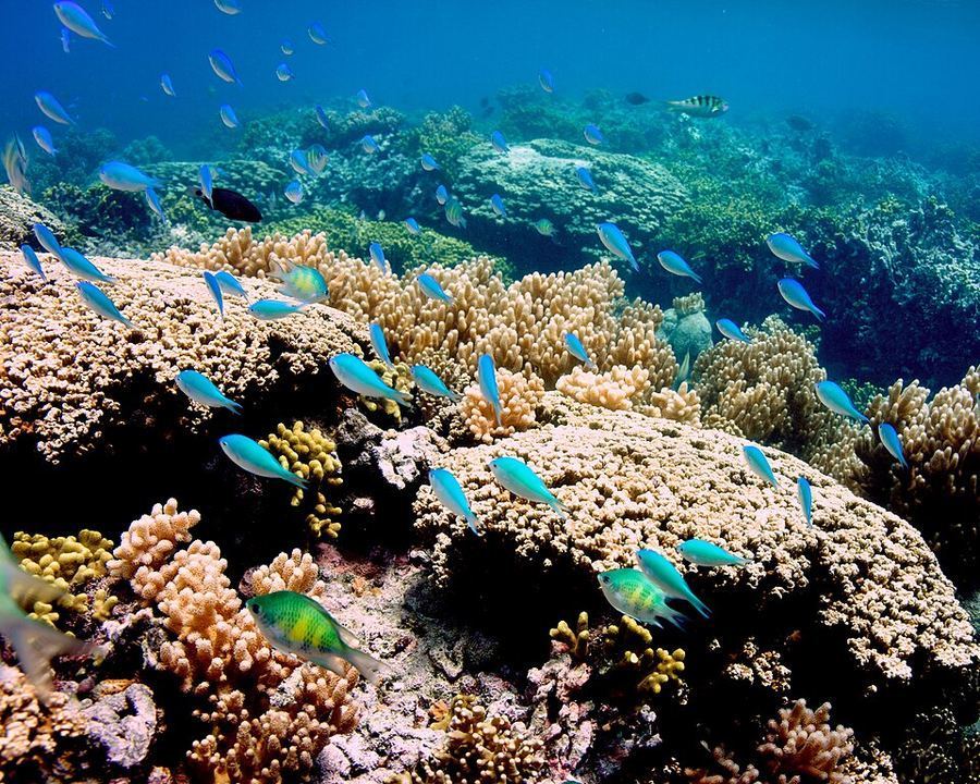 Land & Climate, Guam