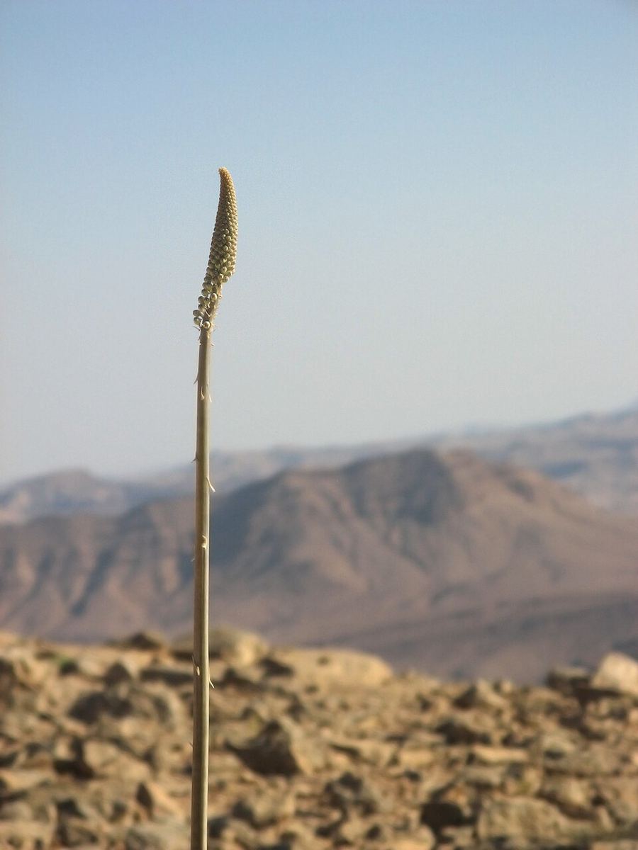 Land & Climate, Israel
