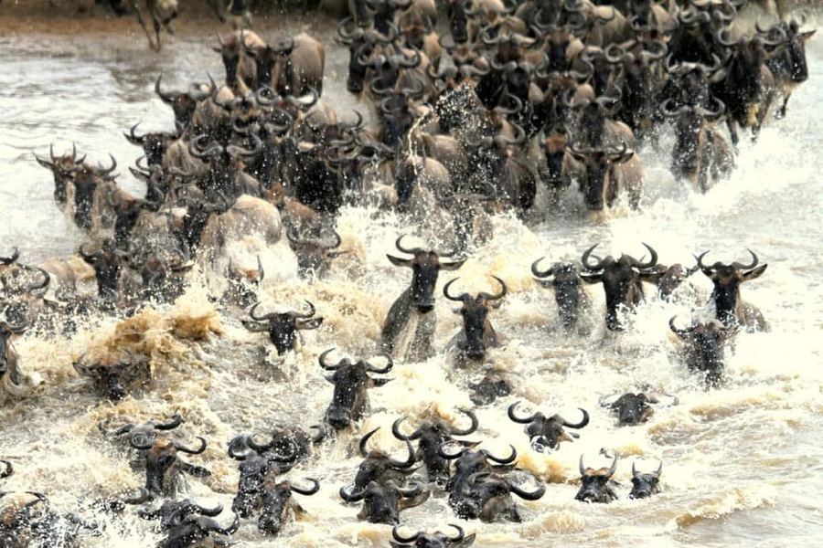 Points Of Pride, Kenya