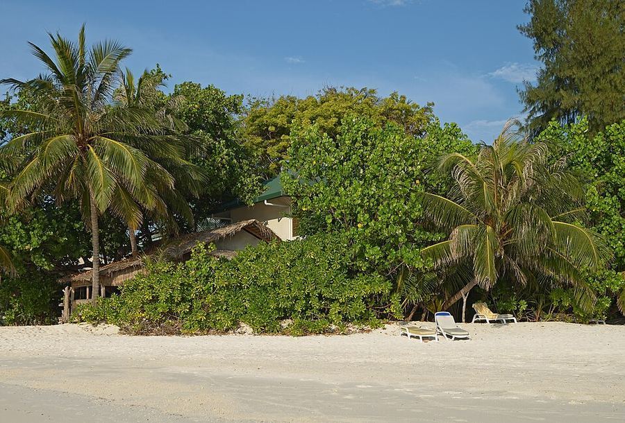 Entertainment, Maldives