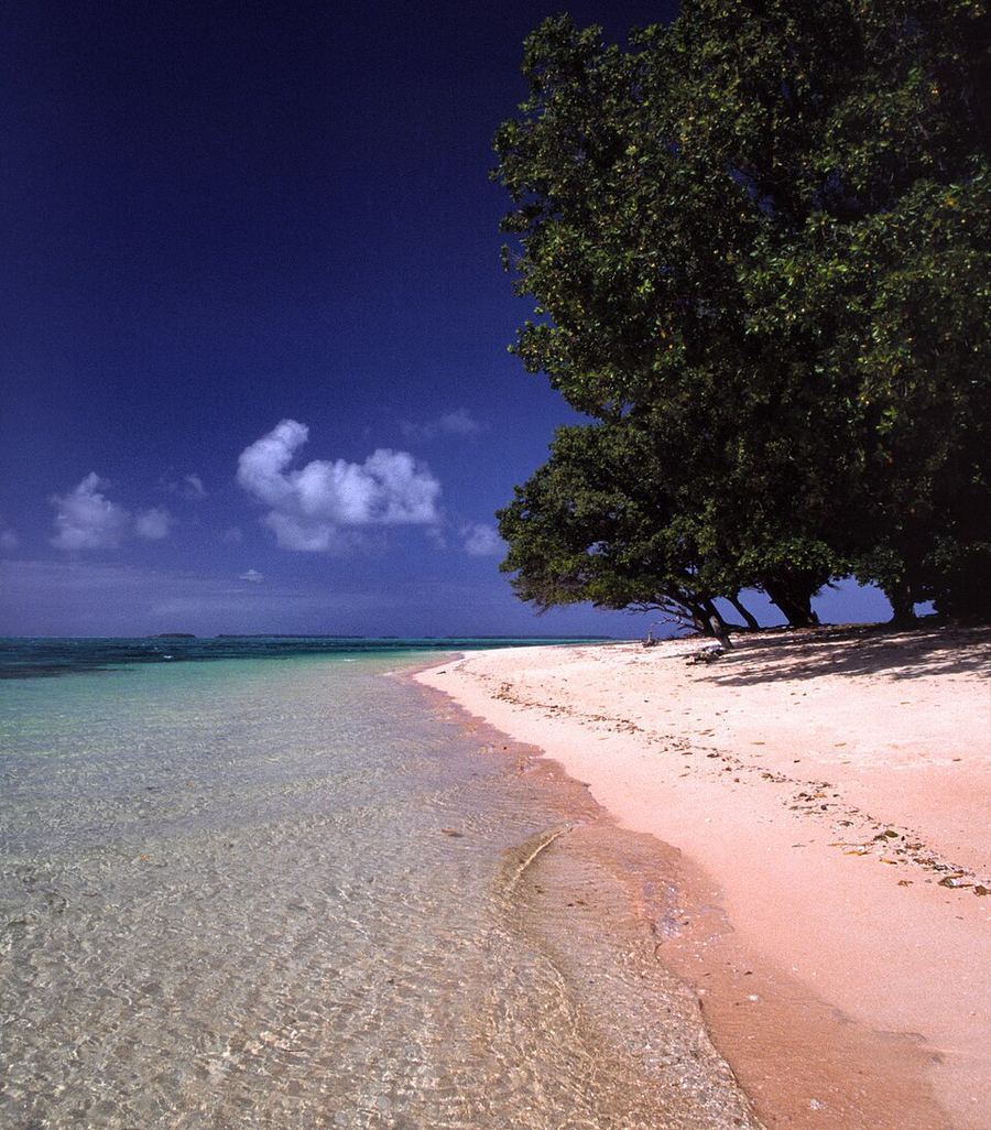 Entertainment, Marshall Islands