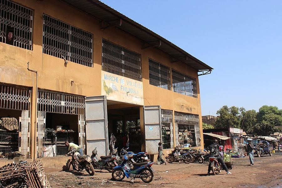 Cultural Fusion, Mali