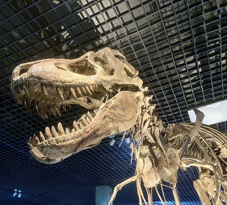Science & Technology, Mongolia