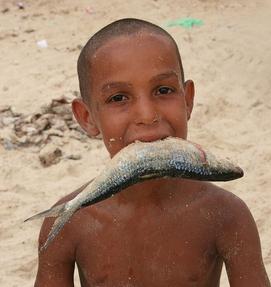 Wars & Conflicts, Mauritania