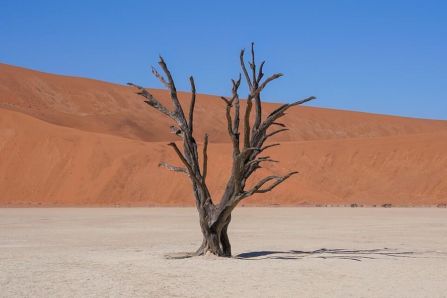 Points Of Pride, Namibia