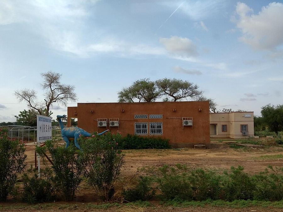 Notable Educational Programs, Niger