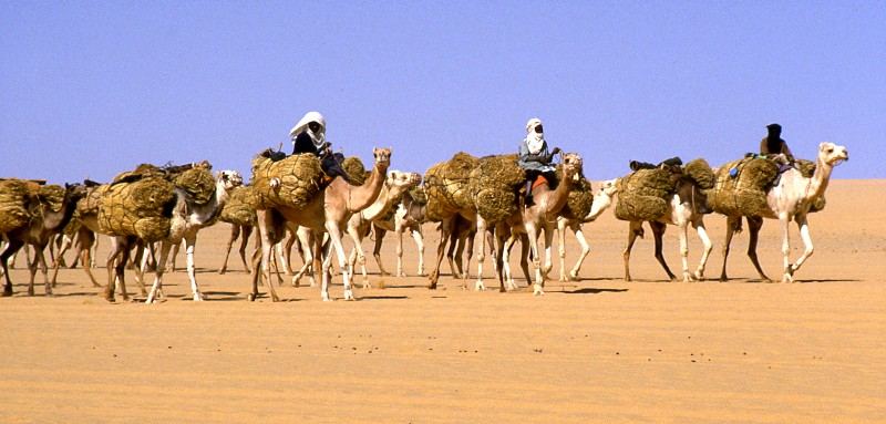 Inventions & Breakthroughs, Niger