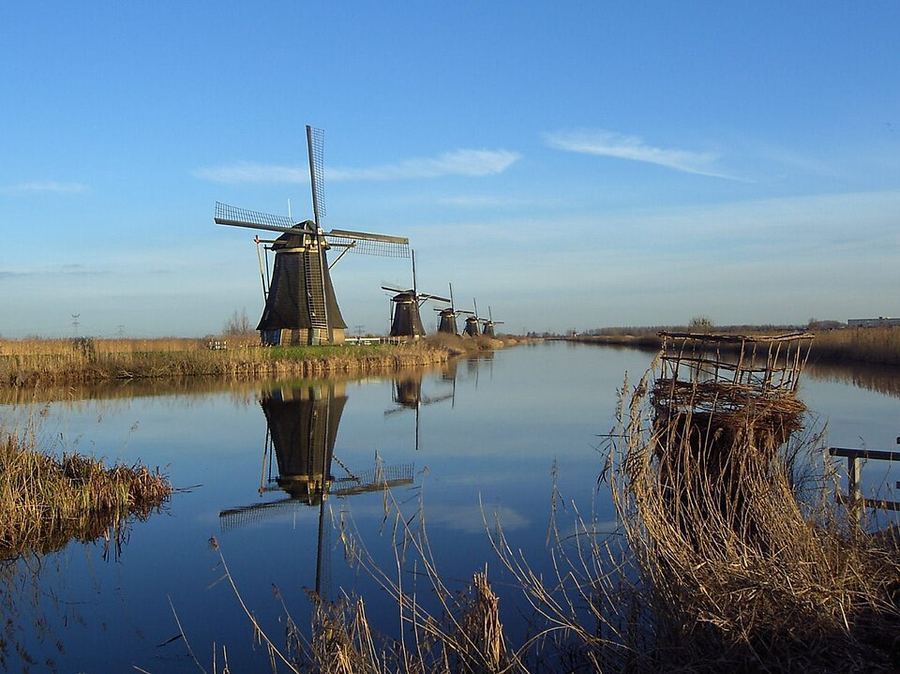 Points Of Pride, Netherlands